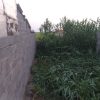 زمین مسکونی دوردیوارکف کرسی