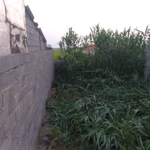 زمین مسکونی دوردیوارکف کرسی
