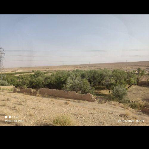 باغ بادام بعد برزک فوری