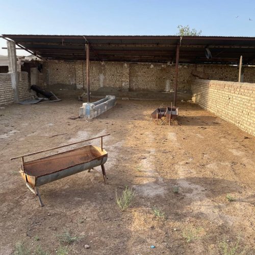 دامداری و باغچه