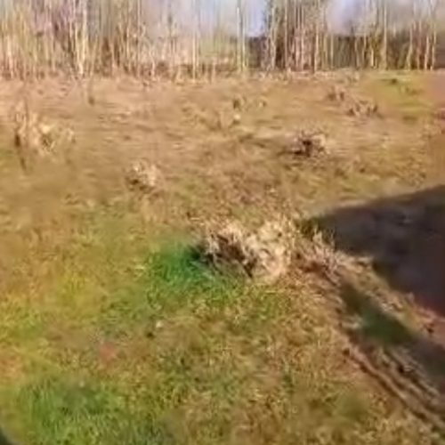 فرصت طلایی خرید زمین