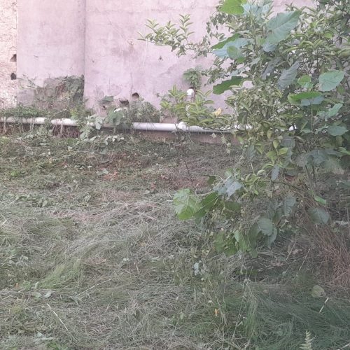 زمین دارای کاربری مسکونی