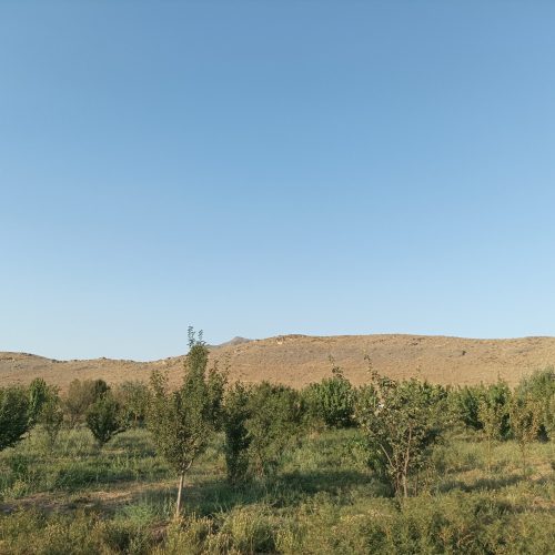 باغ 1600متری راهجرد