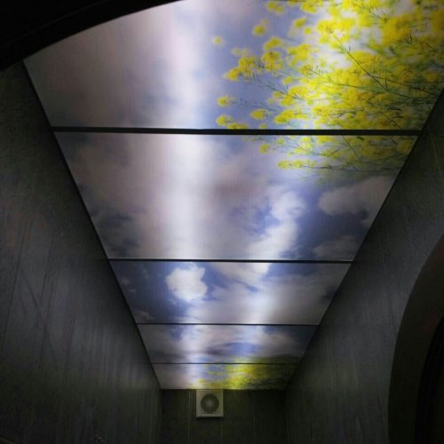 فروش و ملزومات سقف کاذب