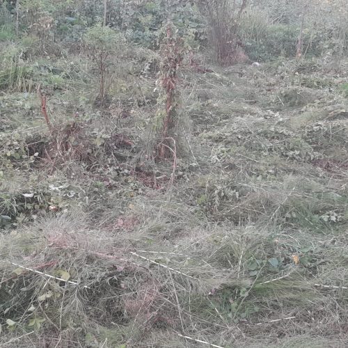 زمین دارای کاربری مسکونی