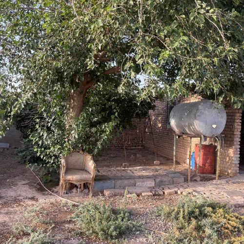 دامداری و باغچه