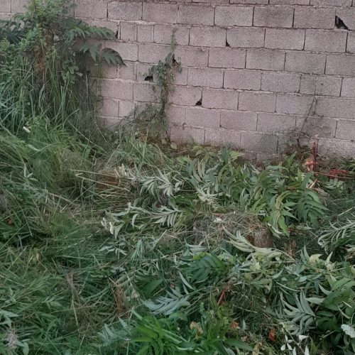 زمین دارای کاربری مسکونی