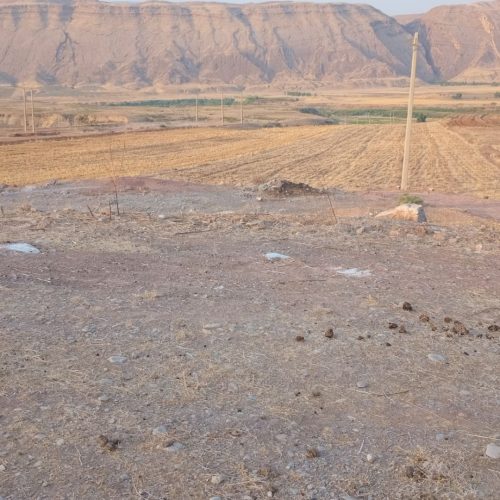 فروش زمین کشاورزی با خاک حاصل خیز و موقعیت عالی و دسترسی به جاده اصلی با قیمت مناسب برای کشت انواع محصولات