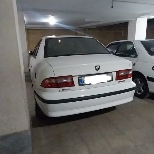 سمند تمیز دوگانه دستی