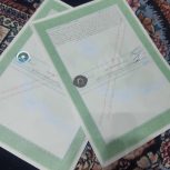 سلام سند دارم برای ضمانت