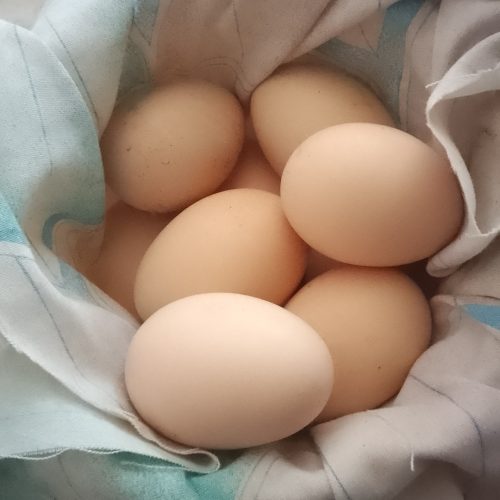 تخم مرغ لاری