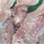 اسکلت مرغ پخش غذای سگ خسروی