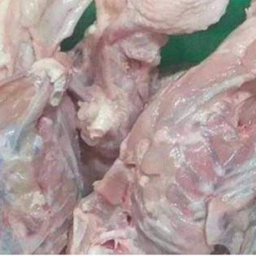 اسکلت مرغ پخش غذای سگ خسروی