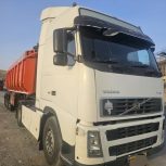 fh81