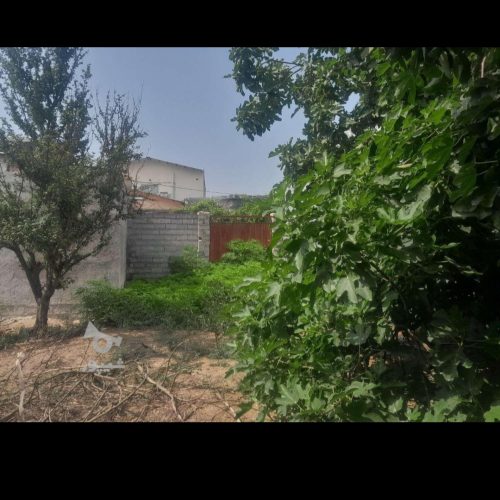 ساخت و ساز زمین مشارکتی