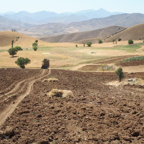 گزرەی فرۆش