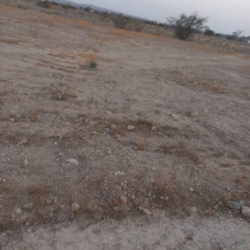 فروش زمین گلنگی سرخون