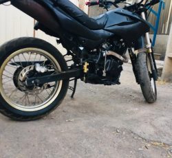 متور تریل پیشروگلد