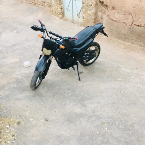 متور تریل پیشروگلد