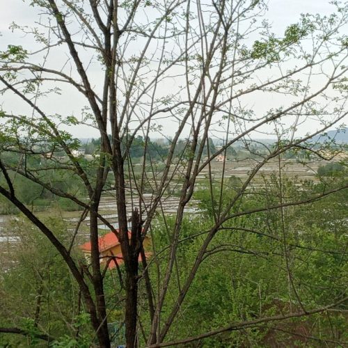 زمین ویلایی در توریسیتی ترین منطقه گیلان