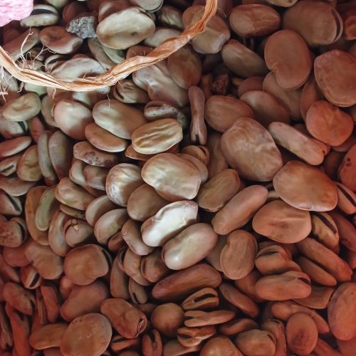 فروش اتن باقلا خشک خوراکی بذری درشت درجه یک