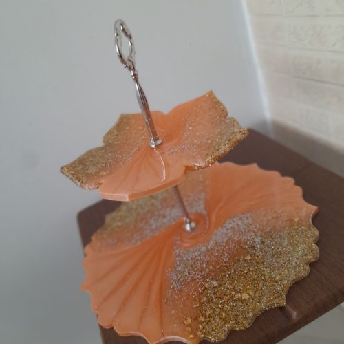 ظروف پذیرایی رزینی