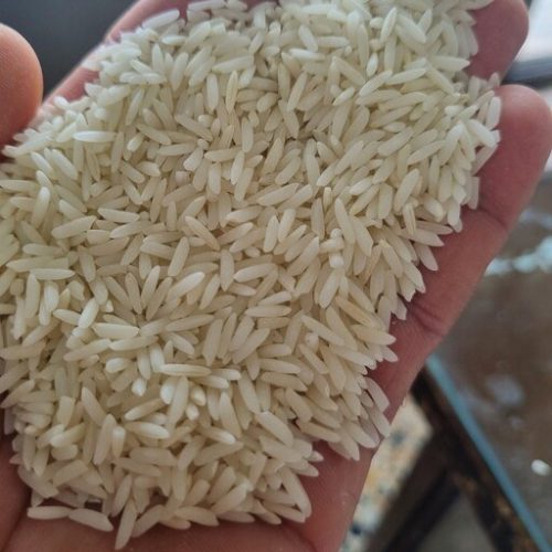 برنح هاشمی
