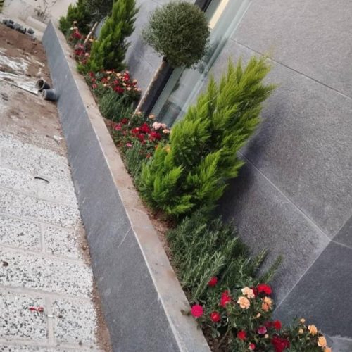 خدمات باغبانی هرسکاری گل کاری و تعویض خاک‌گلدون در منزل