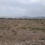 فروش زمین
