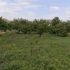 فروش حدودا 1000متر باغ در روستای سار