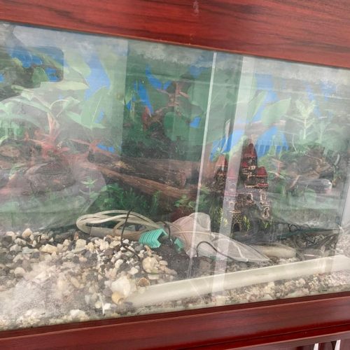 آکواریوم کمددار در حد نو