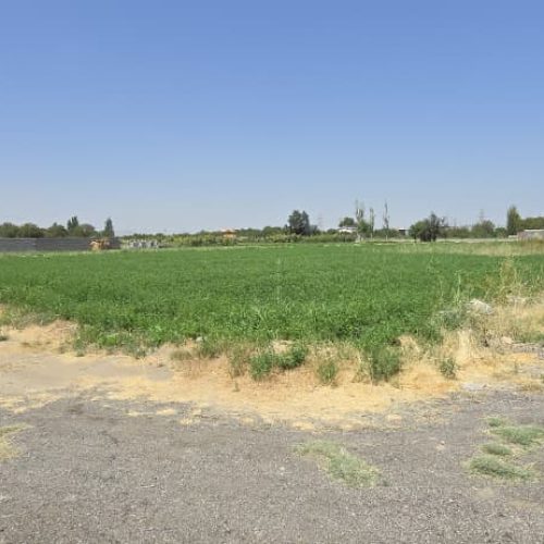 زمین کشاورزی دارای چاه عمیق با پروانه