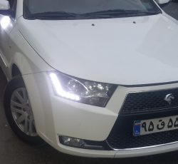 دنا معمولی تیپ 2
