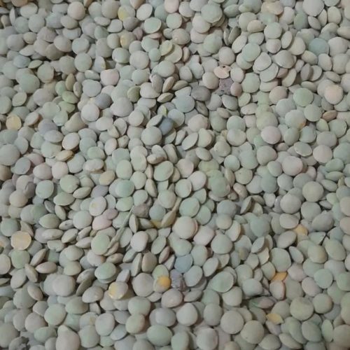 عدس و نخود درجه یک