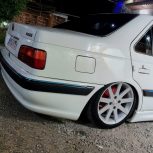 رینگ لاستیک پیتلاین