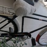 چرخ دکور و ورزش