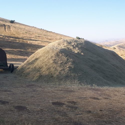 گزرەی فرۆش