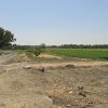 زمین کشاورزی دارای چاه عمیق با پروانه
