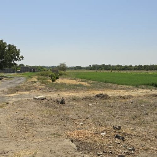 زمین کشاورزی دارای چاه عمیق با پروانه