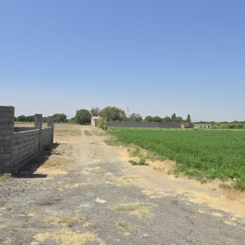 زمین کشاورزی‌و باغی دارای چاه عمیق با پروانه