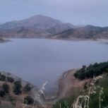فروش زمین مسکونی