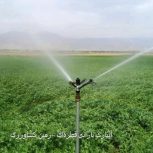 فروش زمین کشاورزی