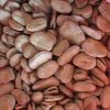 فروش اتن باقلا خشک خوراکی بذری درشت درجه یک