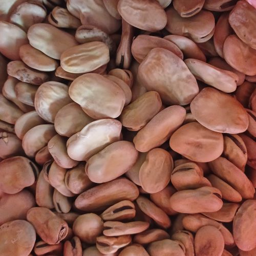 فروش اتن باقلا خشک خوراکی بذری درشت درجه یک