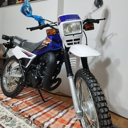 دیتی 175صفر2024