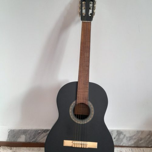 گیتار با برند ALMERIA با تمامی لوازم