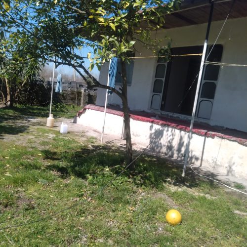 ویلا فروشی با درختان میوه