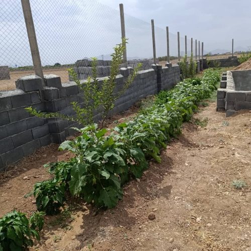 فروش باغ