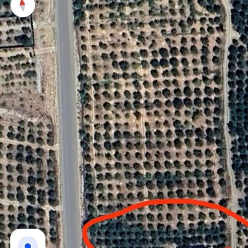 مقدار 1000متر باغ سیب روی جاده اصلی کاکان