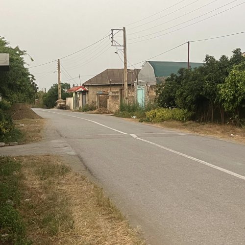 هزار متر مربع باغ فروشی